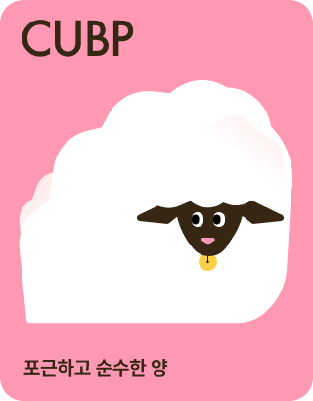 card-2